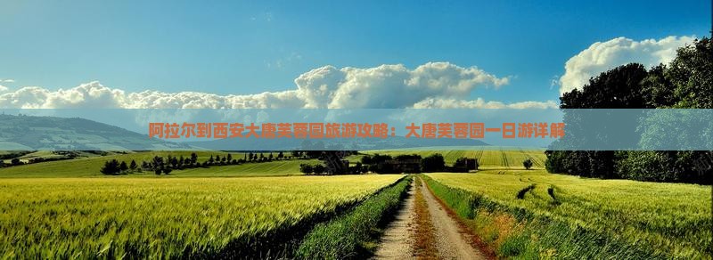 阿拉尔到西安大唐芙蓉园旅游