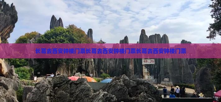 长葛去西安钟楼门票