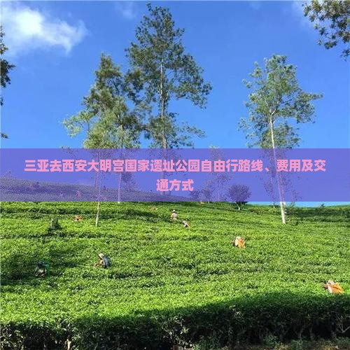 三亚去西安大明宫国家遗址公园自由行