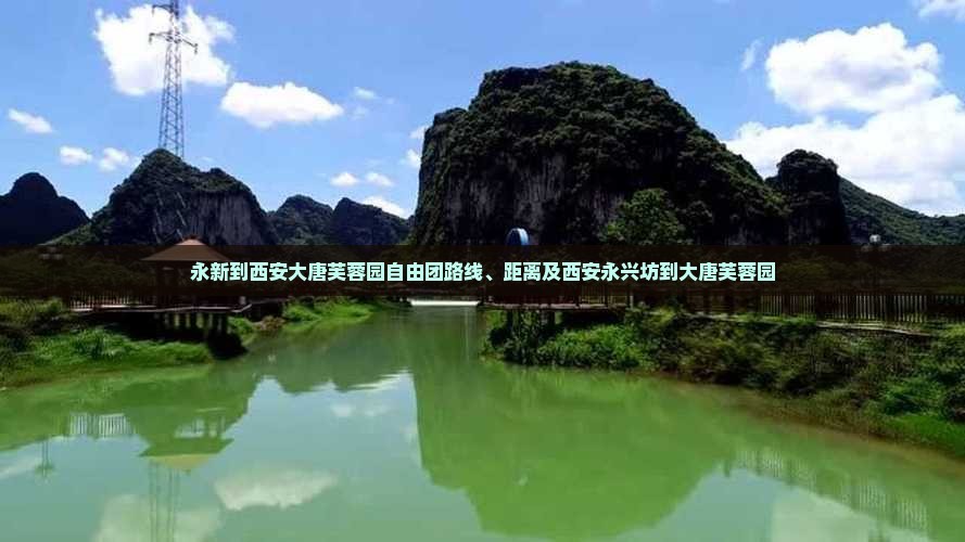 永新到西安大唐芙蓉园自由团