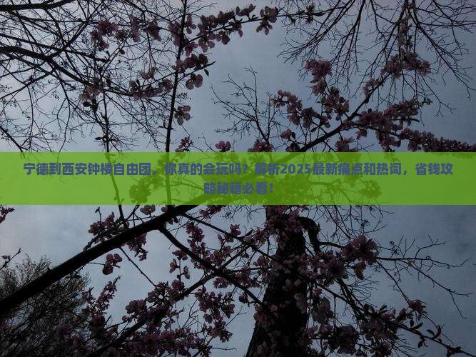 宁德到西安钟楼自由团