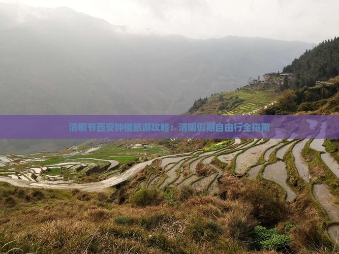 清明节去西安钟楼自由团