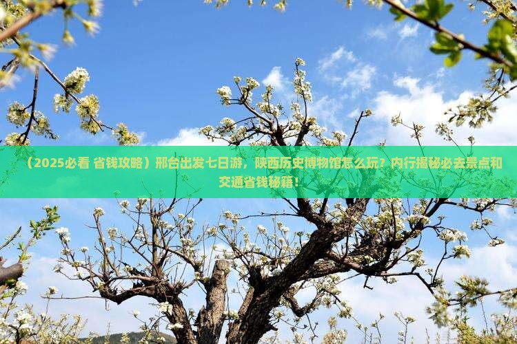 邢台到西安陕西历史博物馆七日游