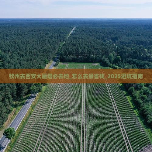 钦州去西安大雁塔必去地