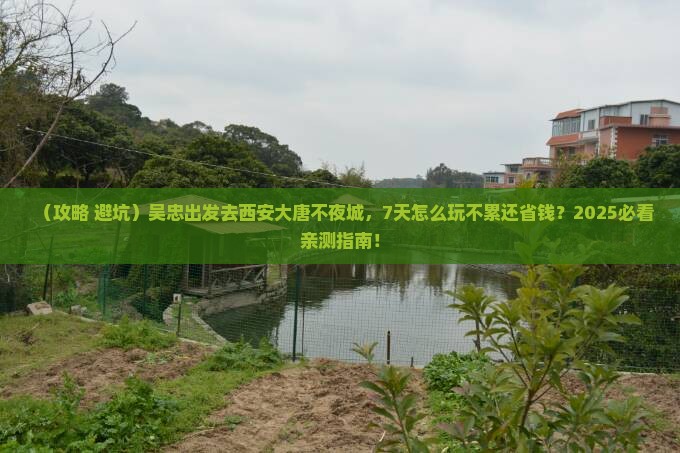吴忠去西安大唐不夜城七日游