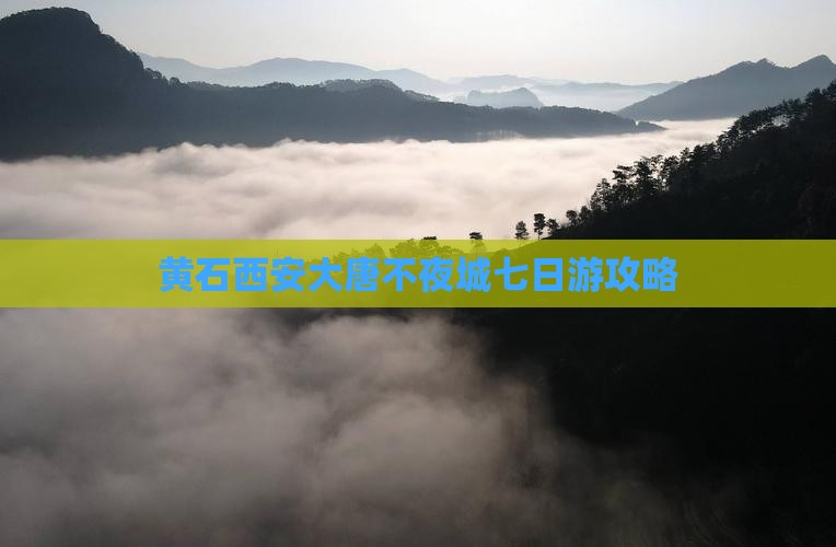 黄石到西安大唐不夜城七日游