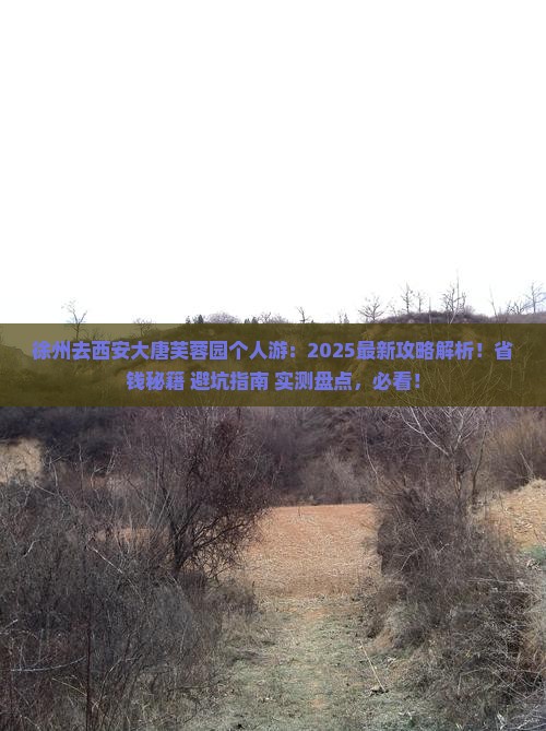 徐州去西安大唐芙蓉园个人游