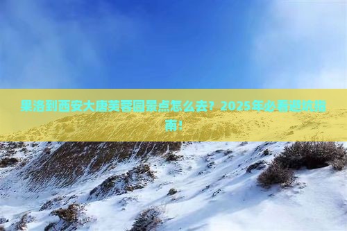 果洛到西安大唐芙蓉园景点