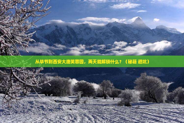 毕节到西安大唐芙蓉园二日游