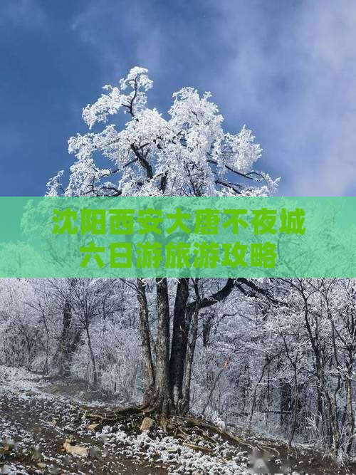 沈阳去西安大唐不夜城六日游