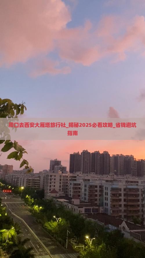周口去西安大雁塔旅行社