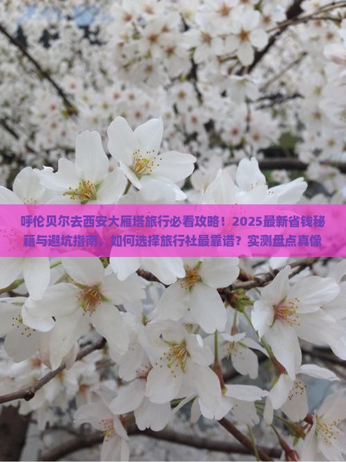 呼伦贝尔去西安大雁塔旅行社