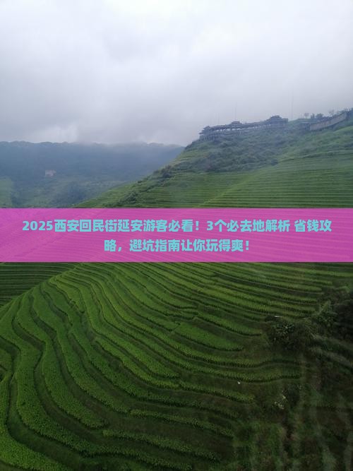 延安去西安回民街必去地