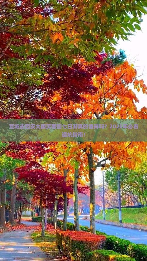 宣城去西安大唐芙蓉园七日游
