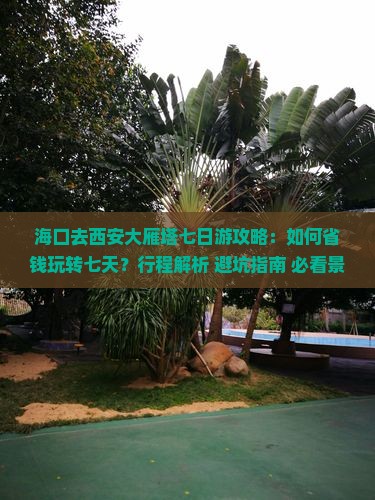 海口去西安大雁塔七日游