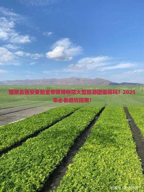 醴陵去西安秦始皇帝陵博物院大型旅游团
