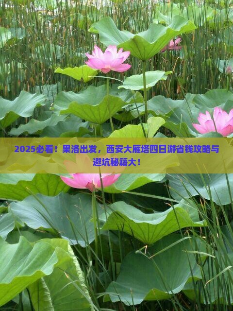 果洛到西安大雁塔四日游