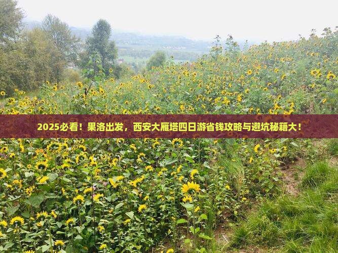 果洛到西安大雁塔四日游