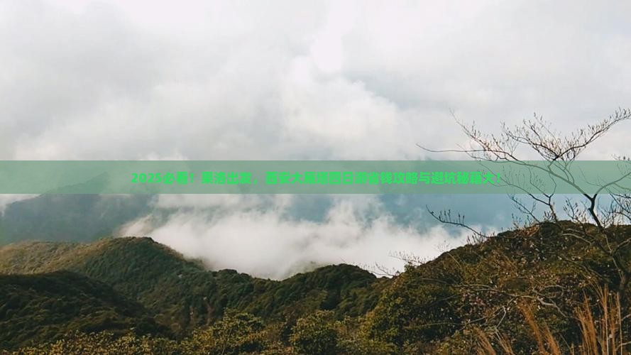 果洛到西安大雁塔四日游