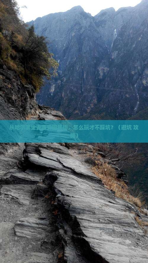 哈尔滨到西安回民街攻略