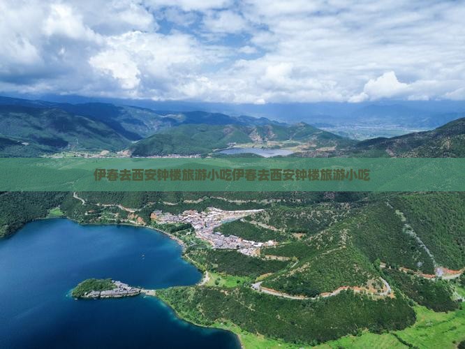 伊春去西安钟楼旅游小吃