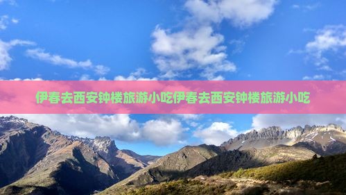 伊春去西安钟楼旅游小吃