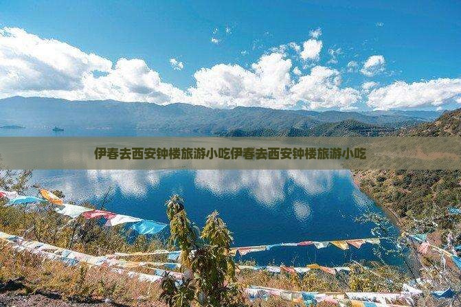 伊春去西安钟楼旅游小吃