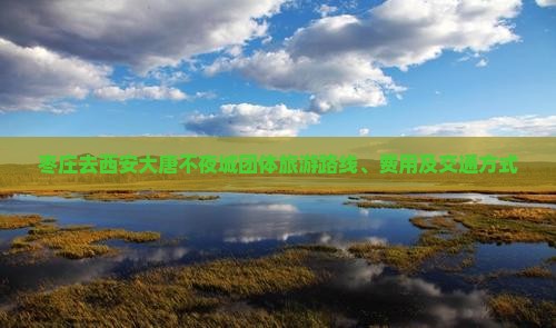 枣庄去西安大唐不夜城团体旅游