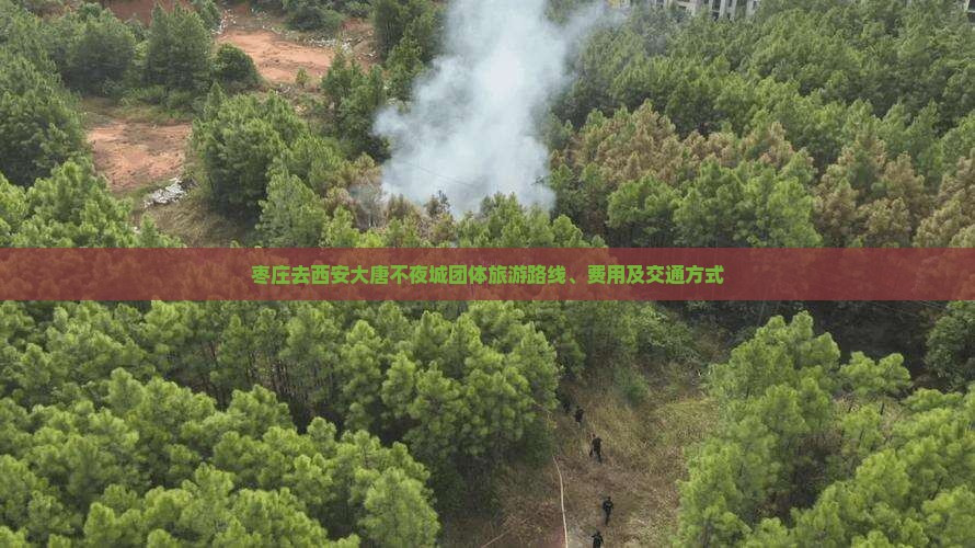 枣庄去西安大唐不夜城团体旅游