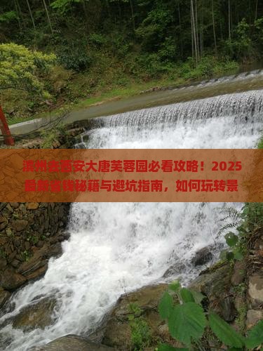 滨州去西安大唐芙蓉园景点