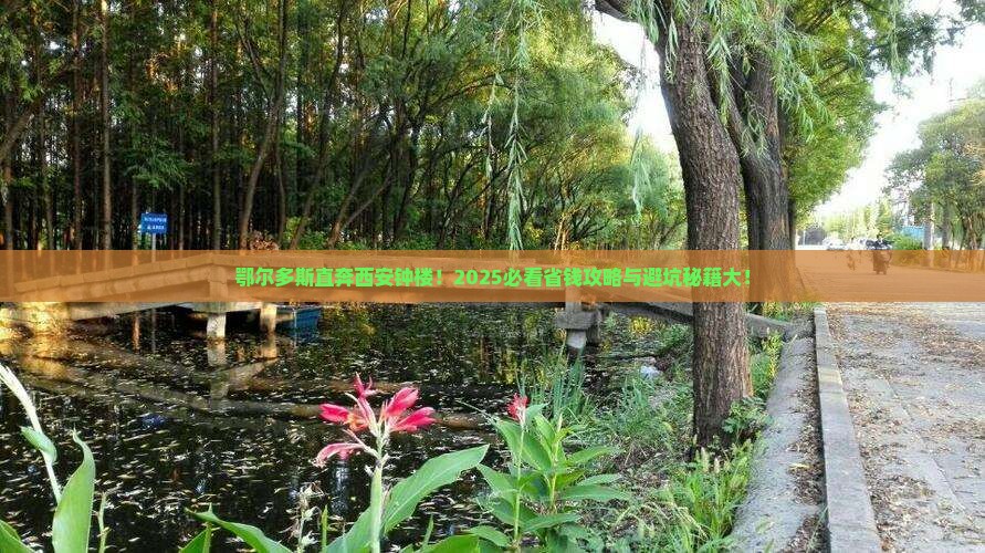 鄂尔多斯到西安钟楼大型旅游团