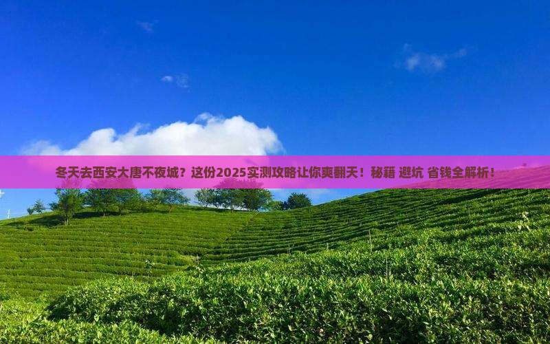 冬天到西安大唐不夜城攻略