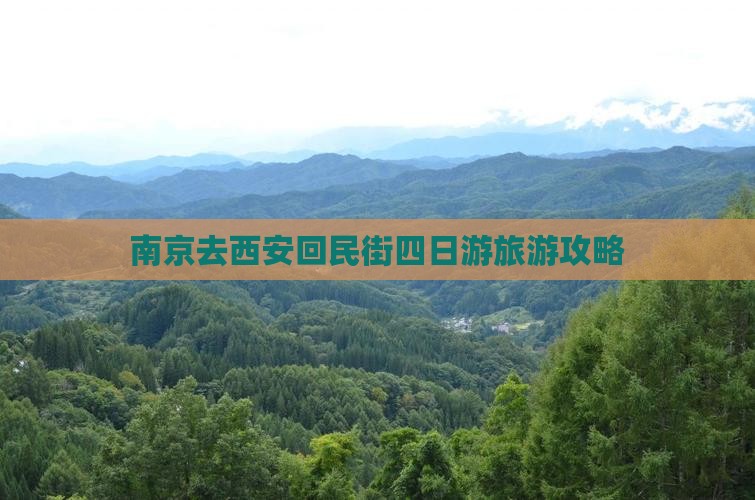 南京去西安回民街四日游