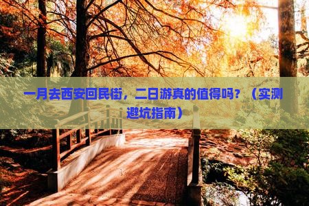 一月去西安回民街二日游