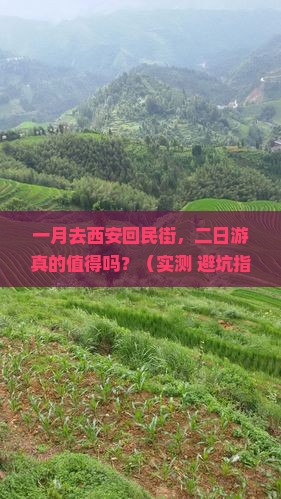 一月去西安回民街二日游