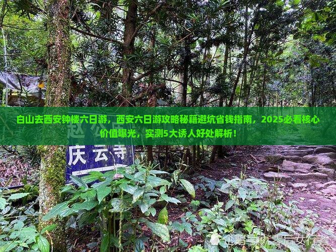 白山去西安钟楼六日游