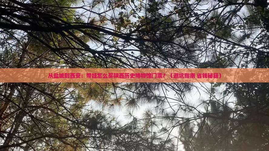 盐城到西安陕西历史博物馆门票