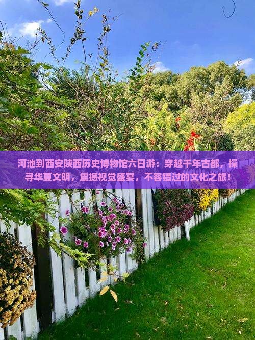 河池到西安陕西历史博物馆六日游