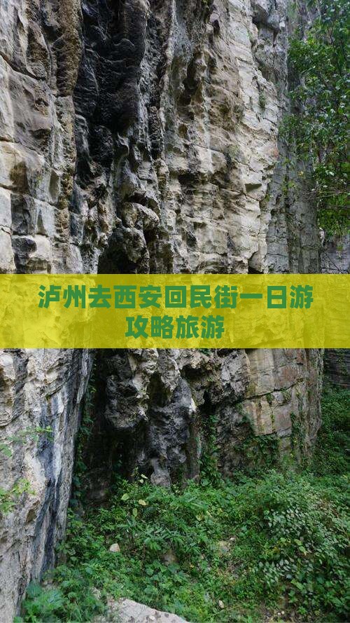 泸州去西安回民街一日游