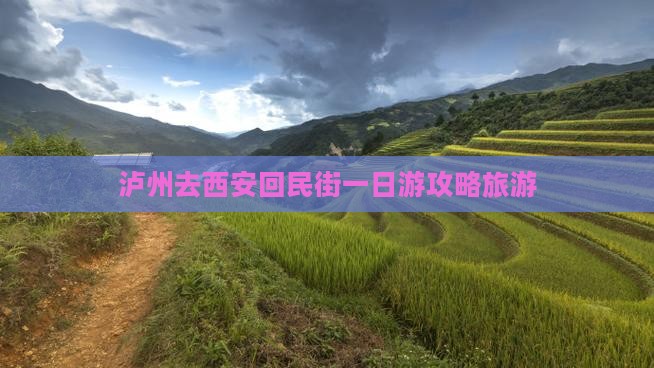 泸州去西安回民街一日游