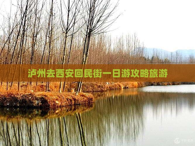 泸州去西安回民街一日游