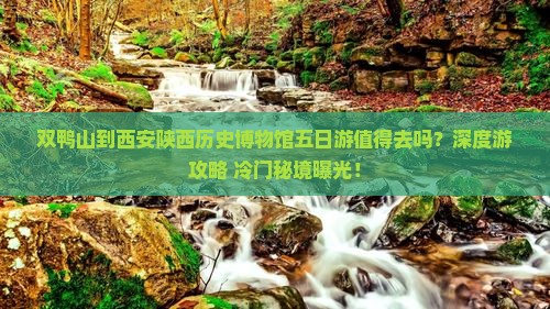 双鸭山到西安陕西历史博物馆五日游