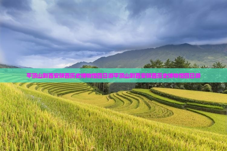 平顶山到西安陕西历史博物馆四日游