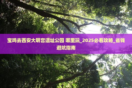 宝鸡去西安大明宫国家遗址公园哪里玩