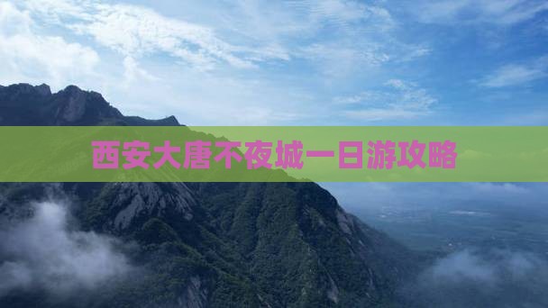 永新到西安大唐不夜城一日游