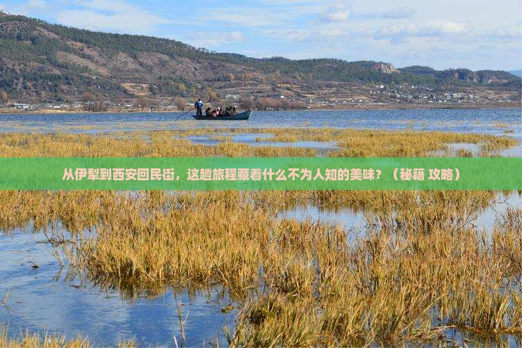 伊犁去西安回民街景点