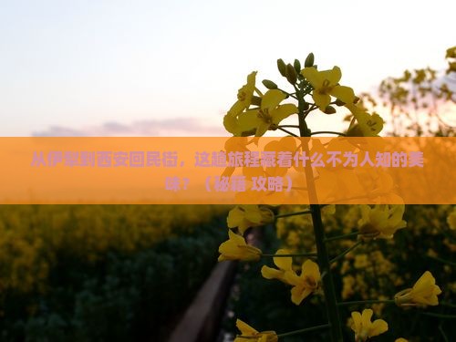 伊犁去西安回民街景点