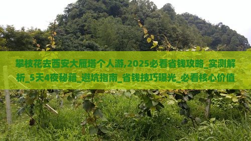 攀枝花去西安大雁塔个人游