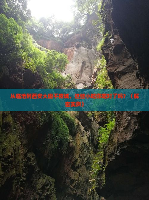 临沧去西安大唐不夜城旅游小吃