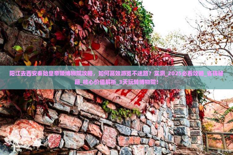 阳江去西安秦始皇帝陵博物院攻略